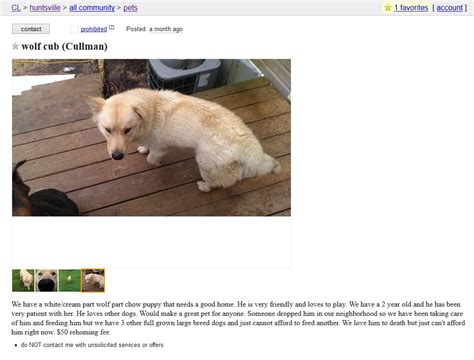 Please don&39;t hesitate to reach out before your pets get into bad shape. . Craigslist dothan pets